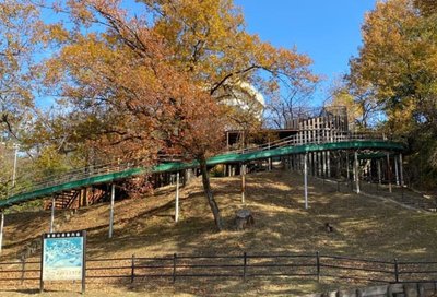 🏞️ 센리 중앙 공원(센리추오코엔) 이미지 2